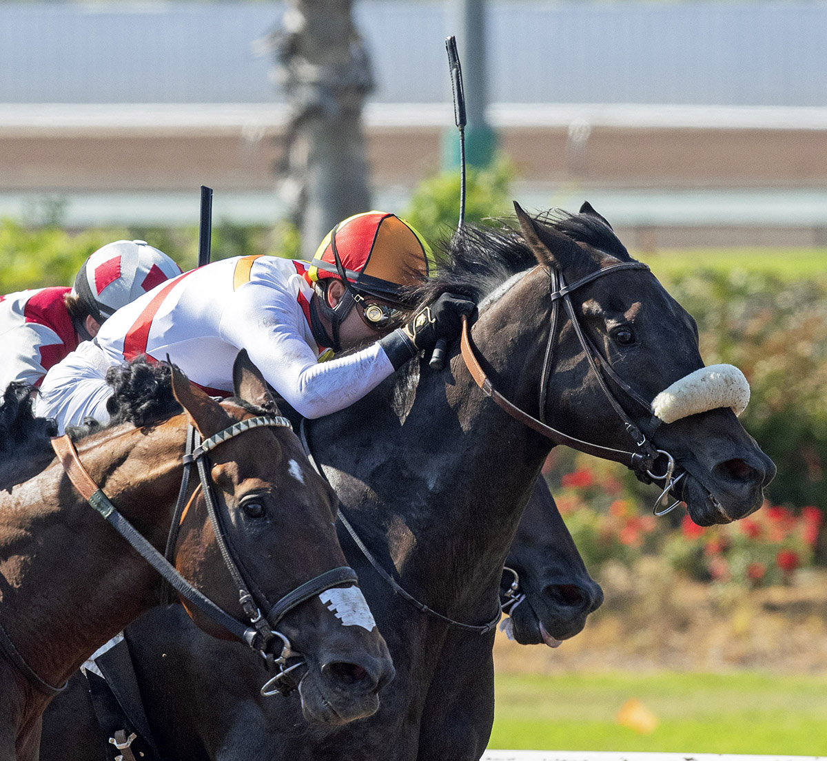 Soi Phet wins the 2018 Bertrando Stakes