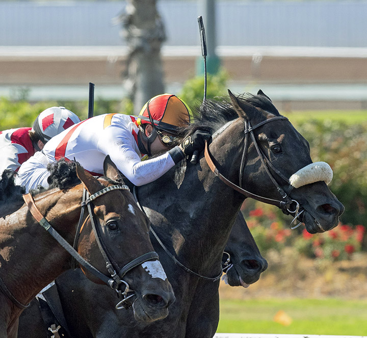 Soi Phet wins the 2018 Bertrando Stakes