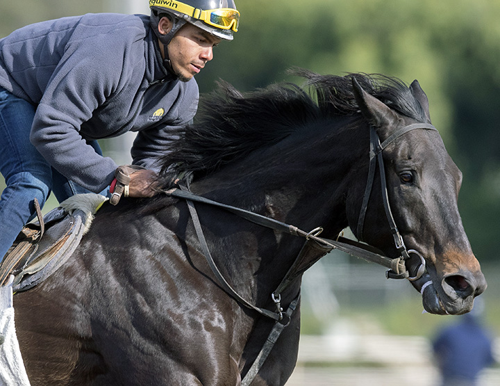 Soi Phet trains at Santa Anita Park on Feb. 20