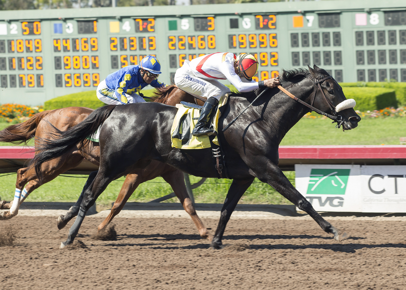Soi Phet wins the 2017 E.B. Johnston Stakes