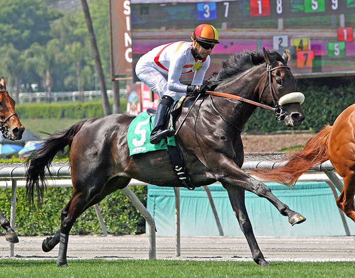 Soi Phet finishes seventh in the 2019 Crystal Water Stakes