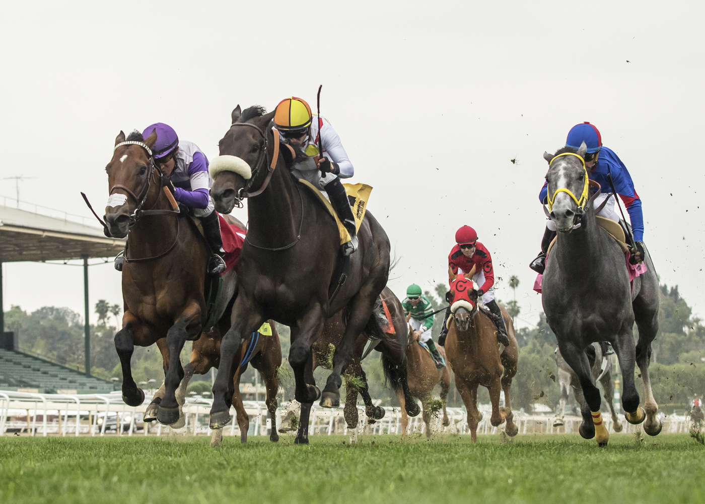 Soi Phet wins the 2018 Crystal Water Stakes