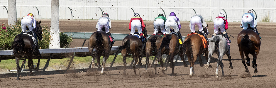 Thoroughbred racing at Los Alamitos Race Course