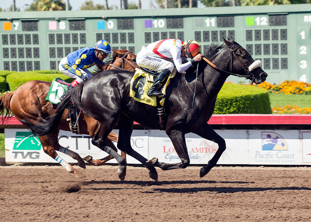 Soi Phet wins the 2017 E.B. Johnston Stakes at Los Alamitos Race Course