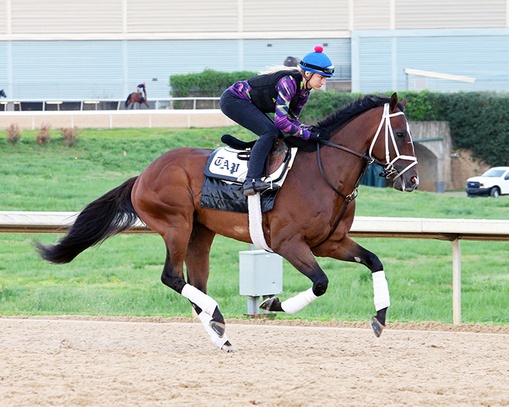 Soldado trains at Oaklawn in April 2019