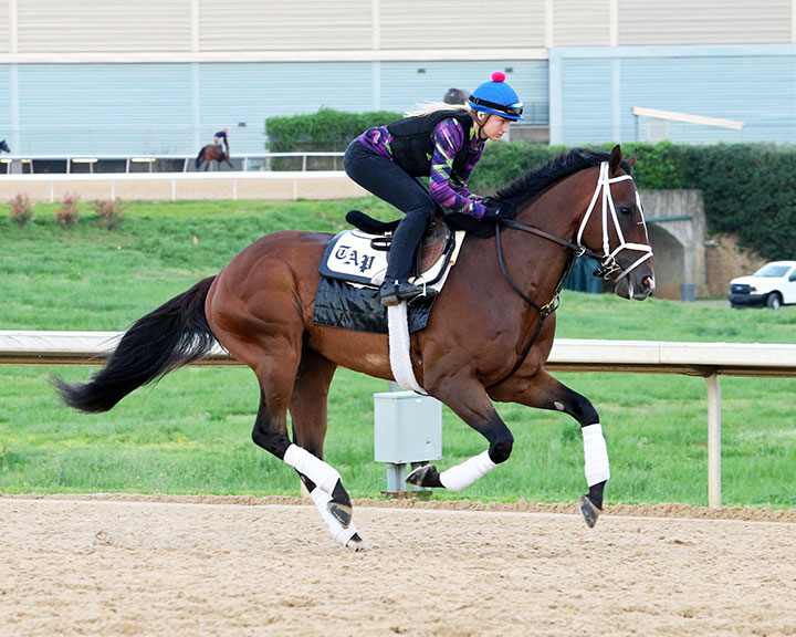 Soldado trains at Oaklawn in April 2019