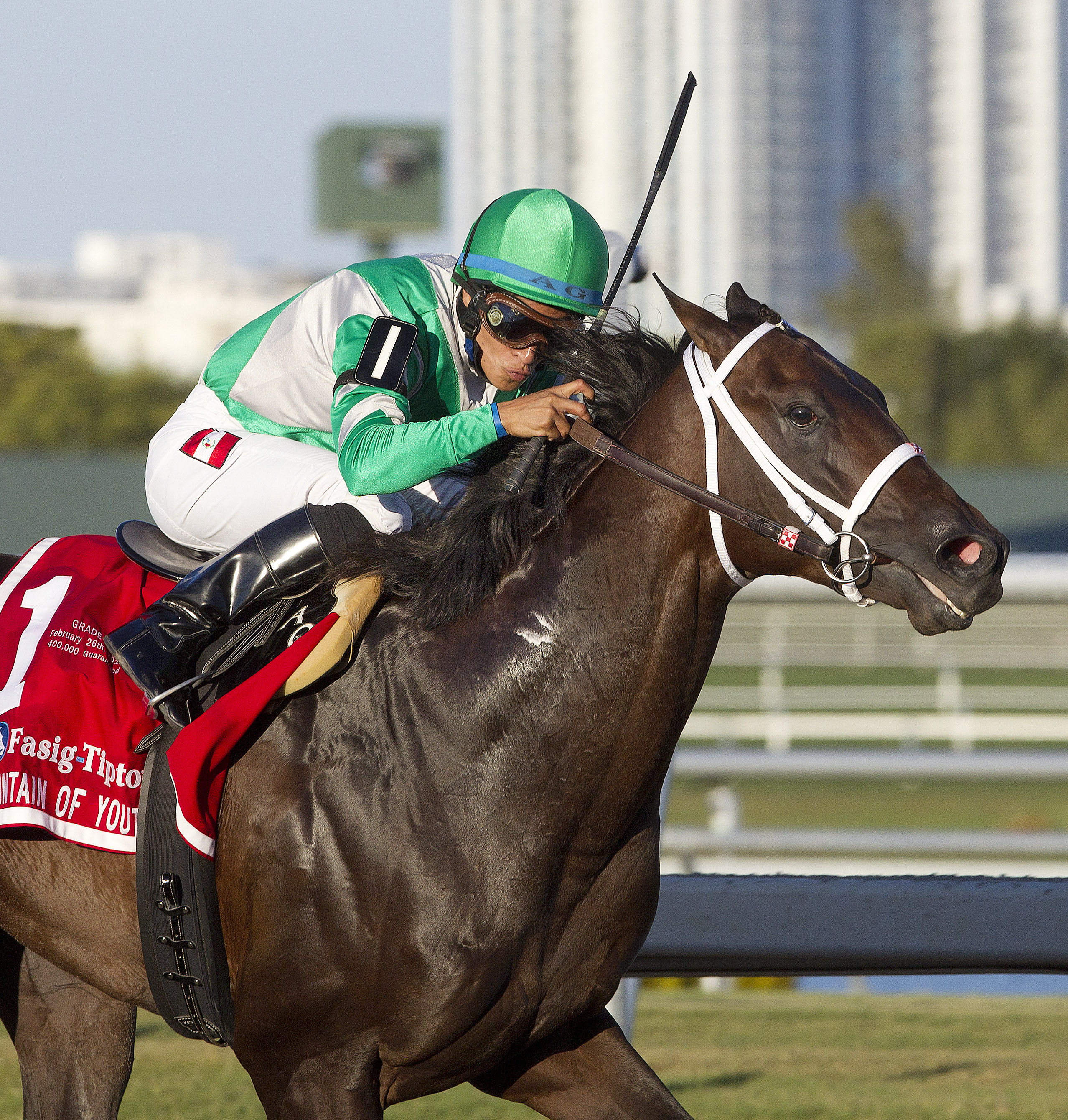 Soldat targets Florida Derby after Fountain of Youth win