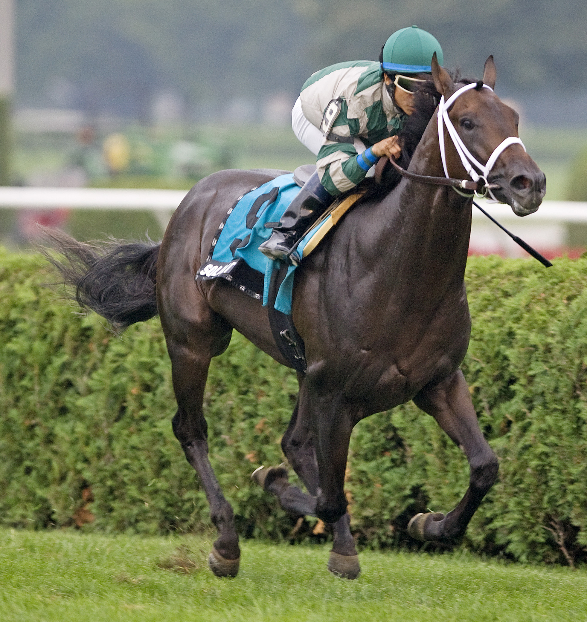Soldat/With Anticipation