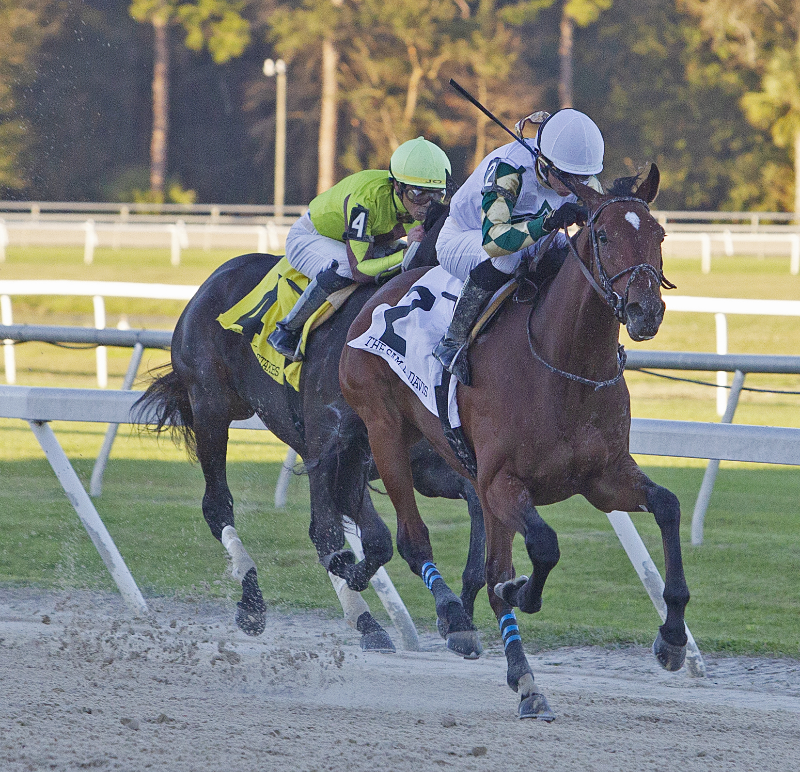Sole Volante wins the 2020 Sam F. Davis Stakes