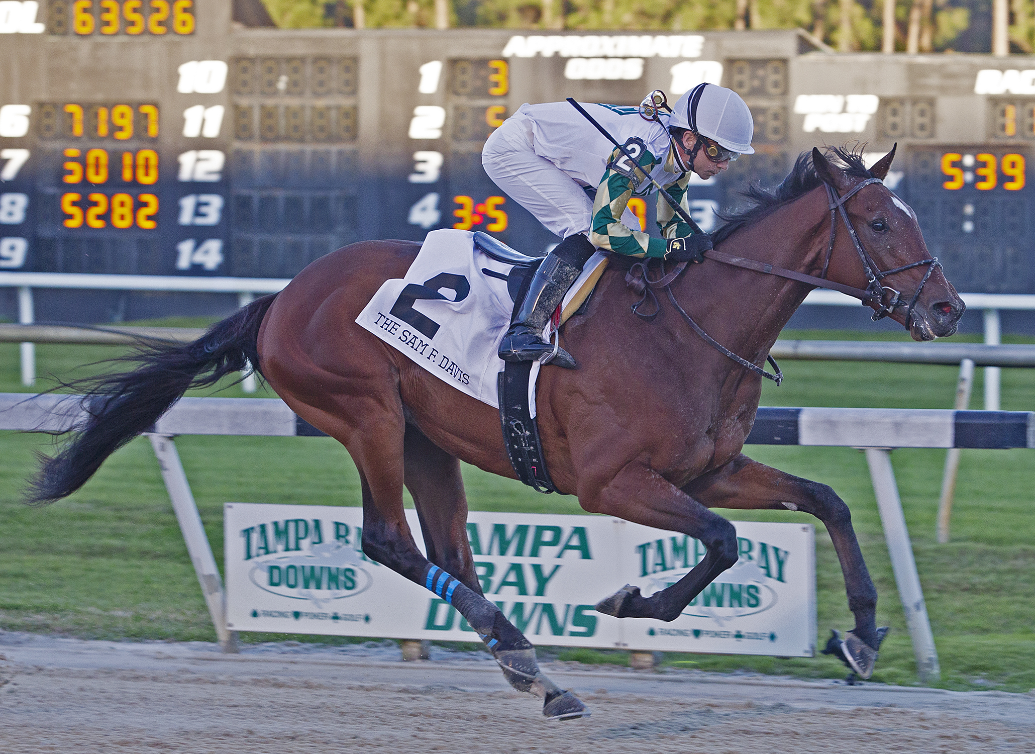 Sole Volante wins the 2020 Sam F. Davis Stakes