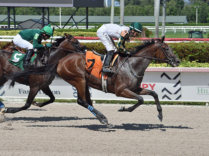 Sole Volante wins a June 10 allowance race at Gulfstream Park