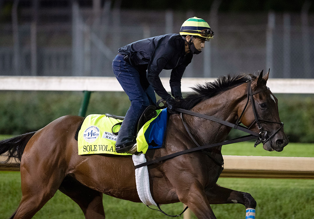 Sole Volante trains at Churchill Downs in September 2020