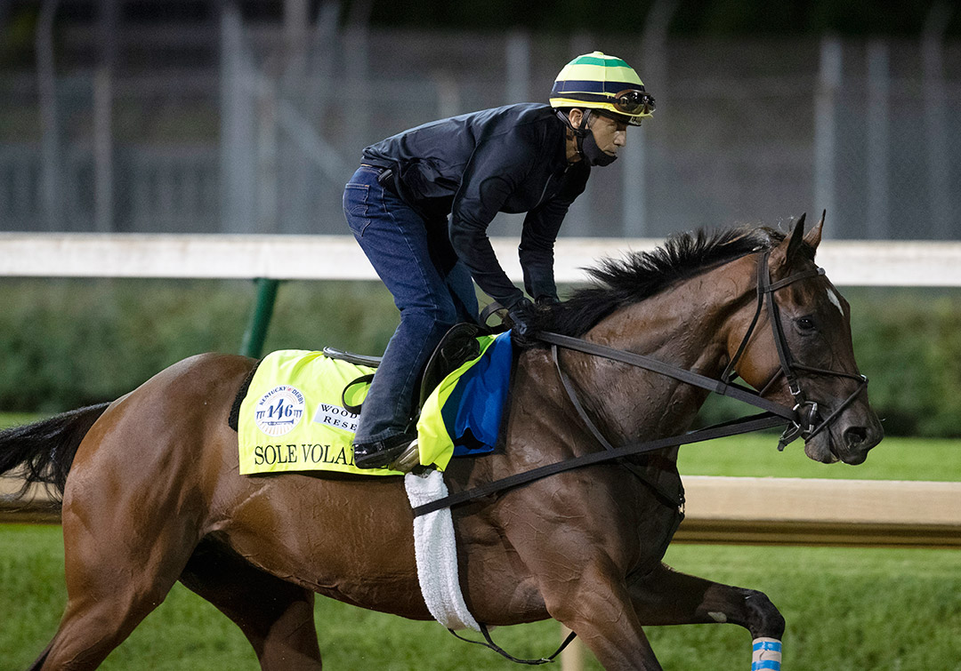 Sole Volante trains at Churchill Downs in September 2020