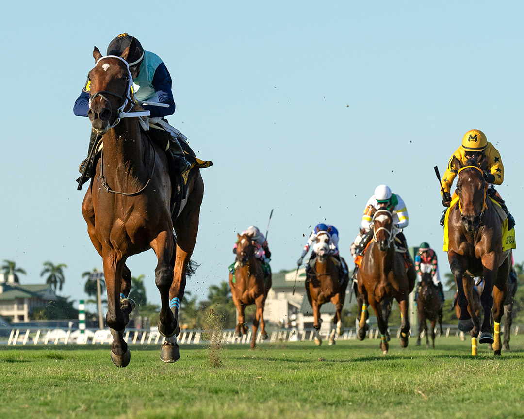 Sole Volante wins the 2019 Pulpit Stakes at Gulfstream Park