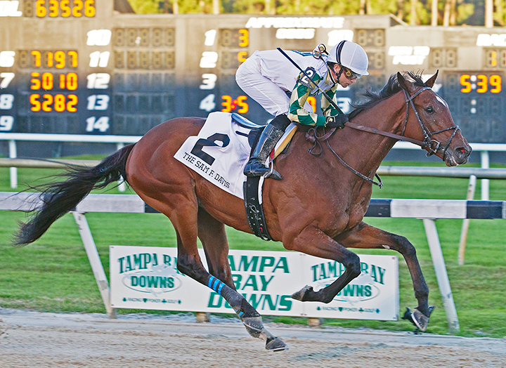 Sole Volante wins the 2020 Sam F. Davis Stakes at Tampa Bay Downs