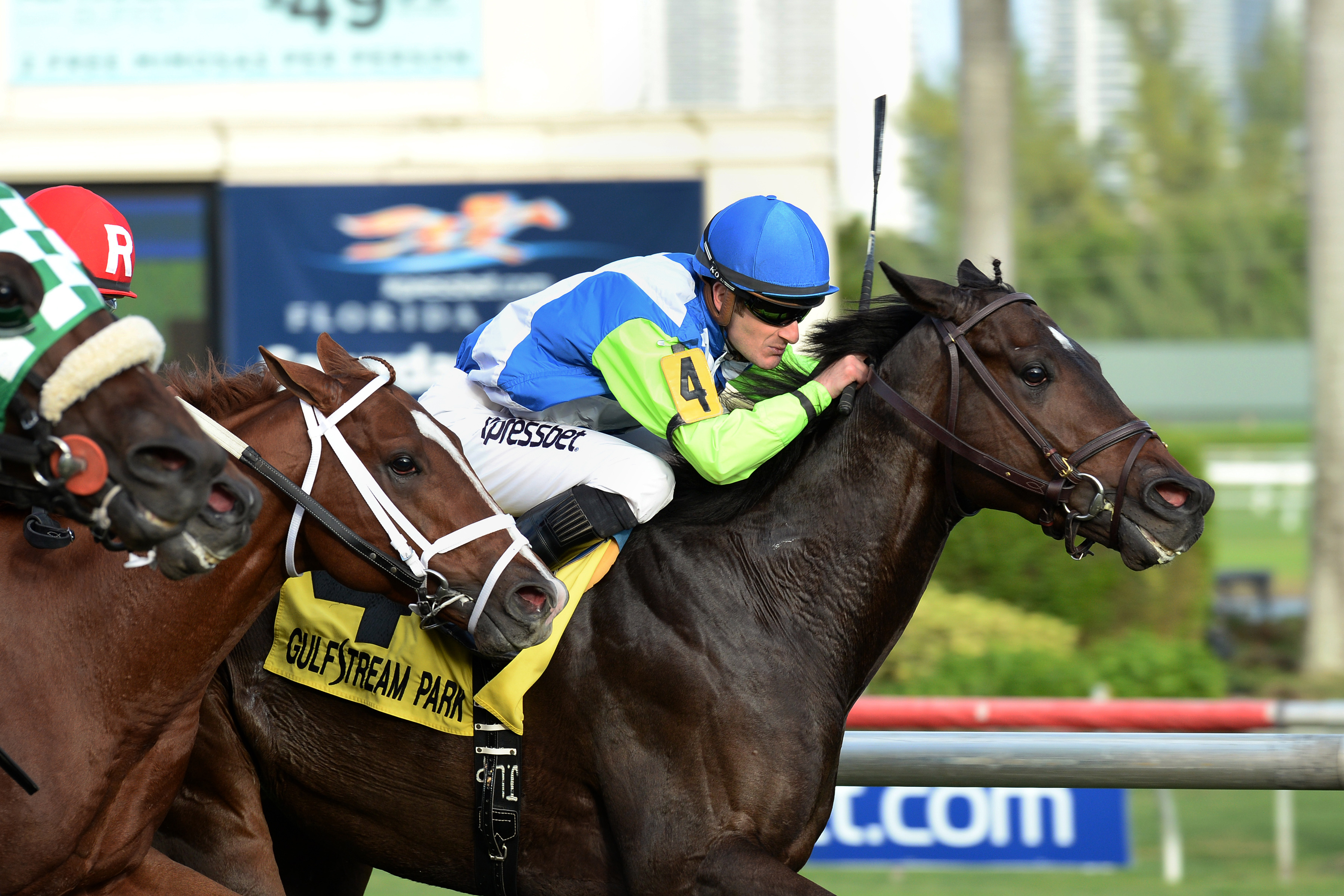 Solemn Tribute wins the Tropical Park Derby
