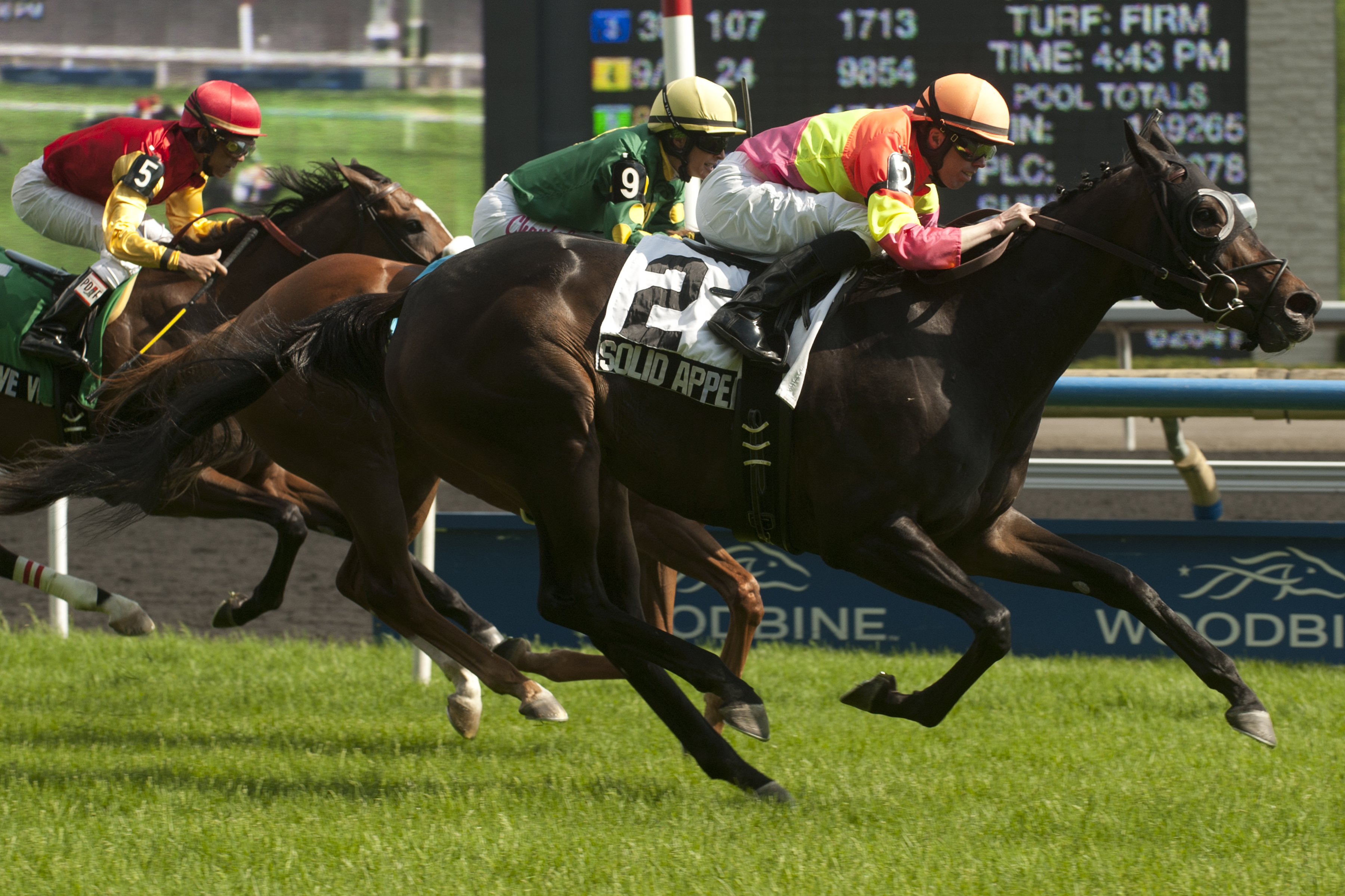 Solid Appeal wins 2014 Nassau Stakes