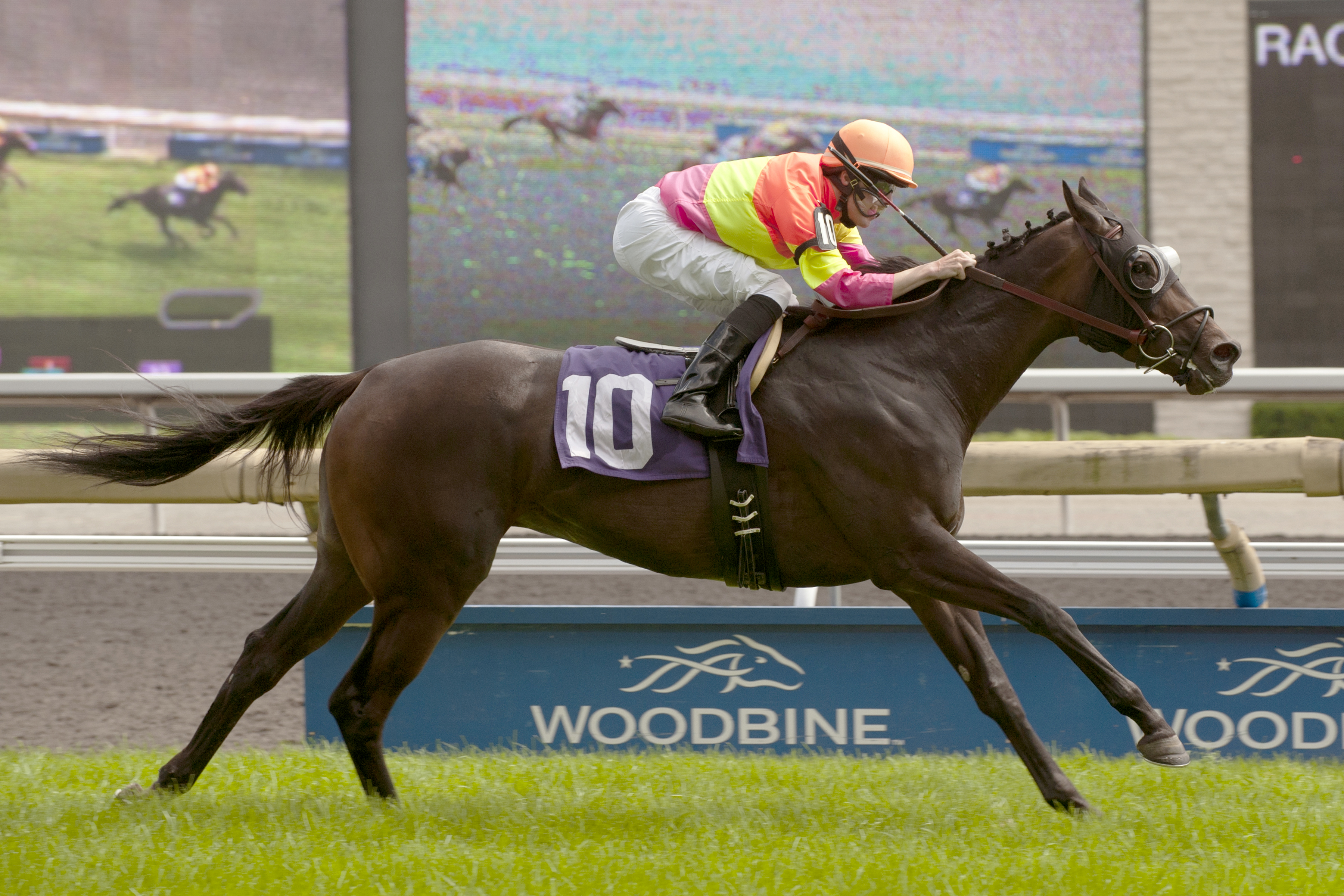 Solid Appeal, Dance Smartly Stakes