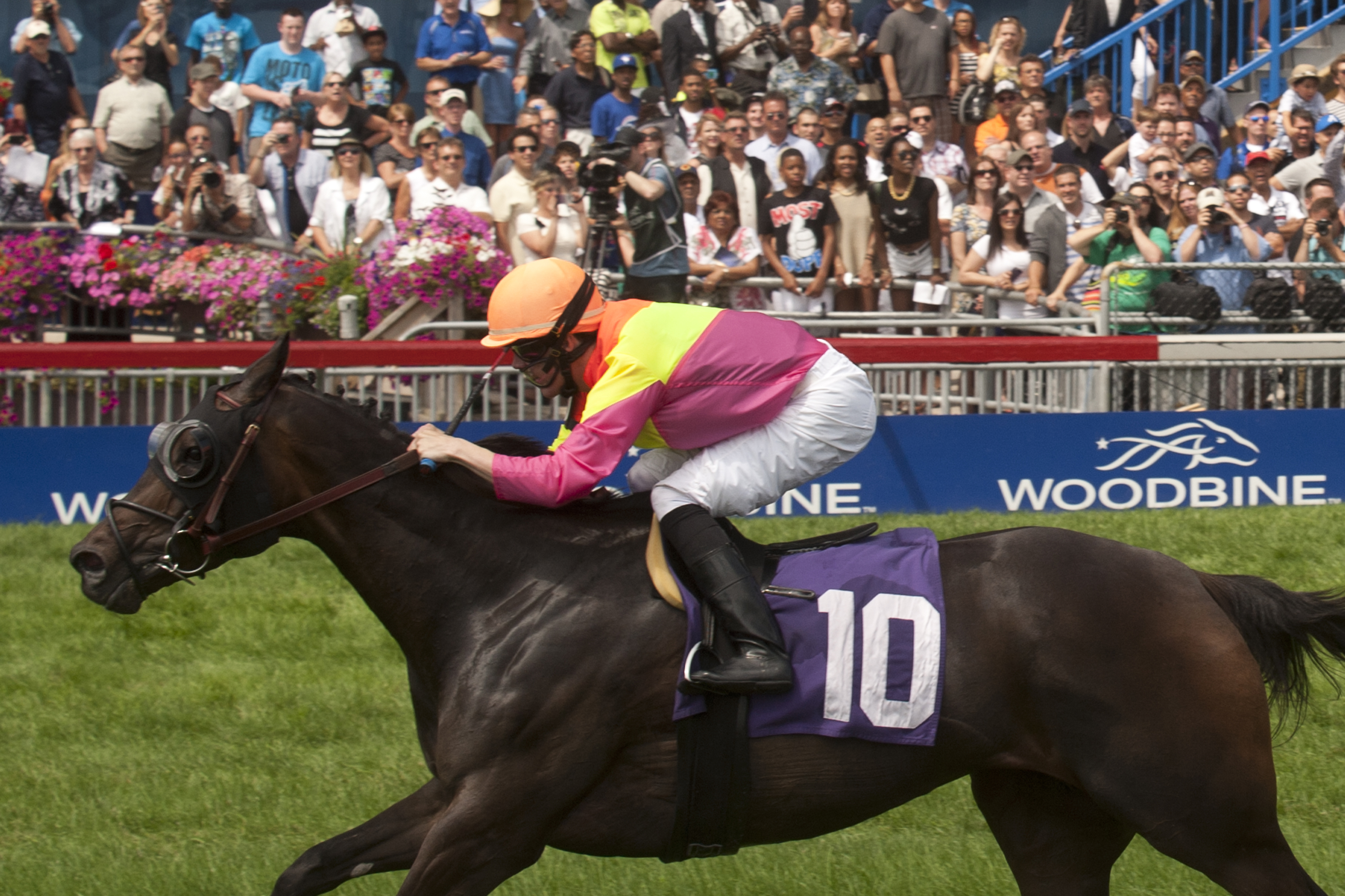 Soild Appeal, Dance Smartly Stakes