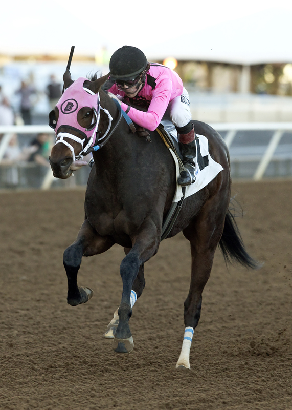 Solid Wager 11-22-2015