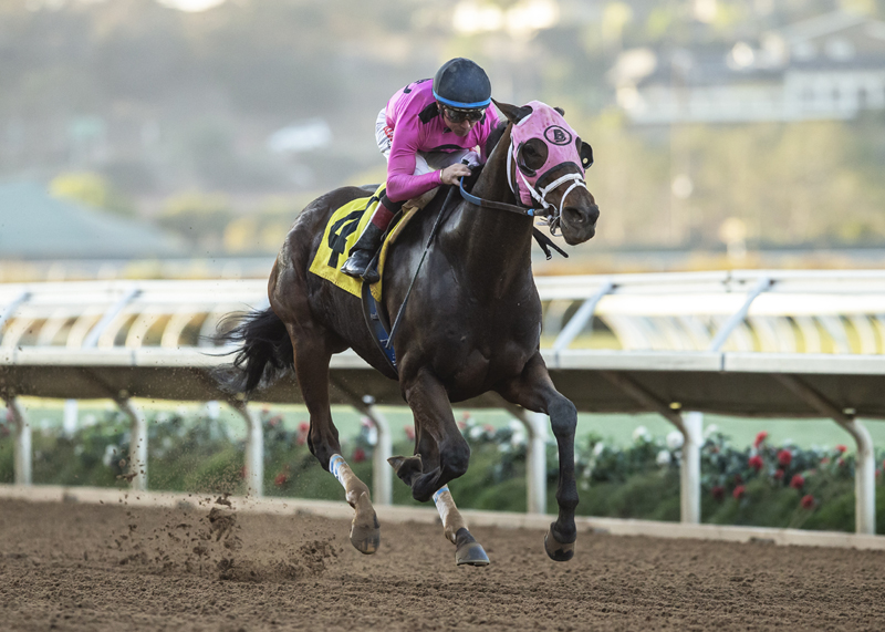 Solid Wager wins 2018 Cary Grant
