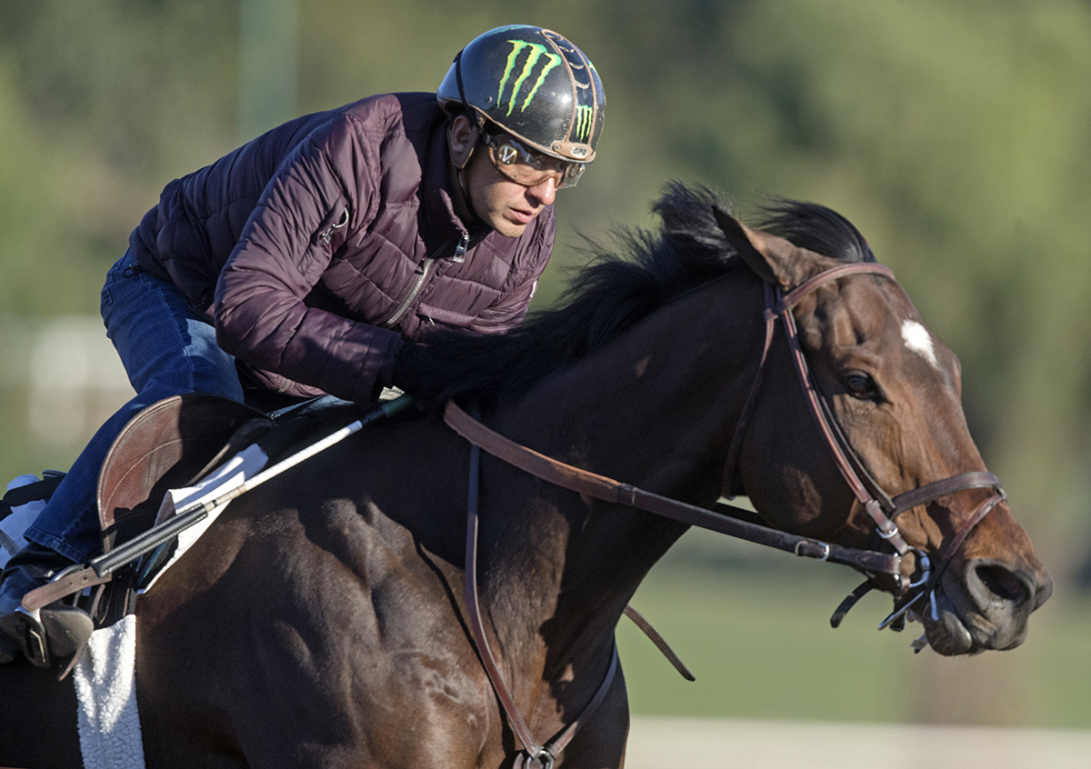 Solid Wager trains at Santa Anita Park in February 2018
