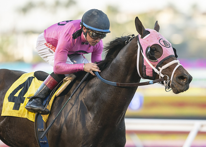 Solid Wager wins the 2018 Cary Grant Stakes