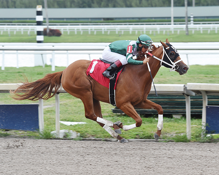 Solid as a Rock wins a May 2 maiden race at Gulfstream