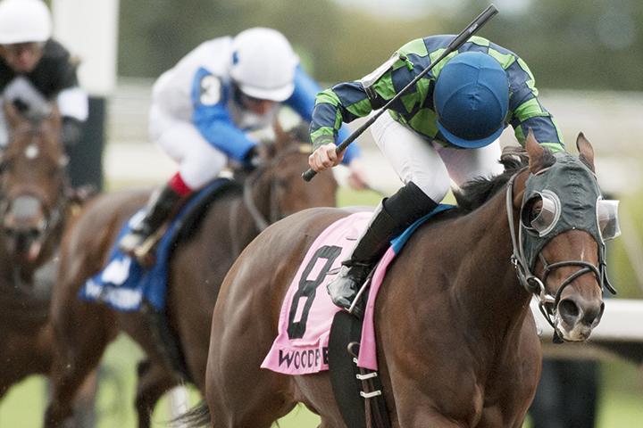 Solidify wins the Grey Stakes