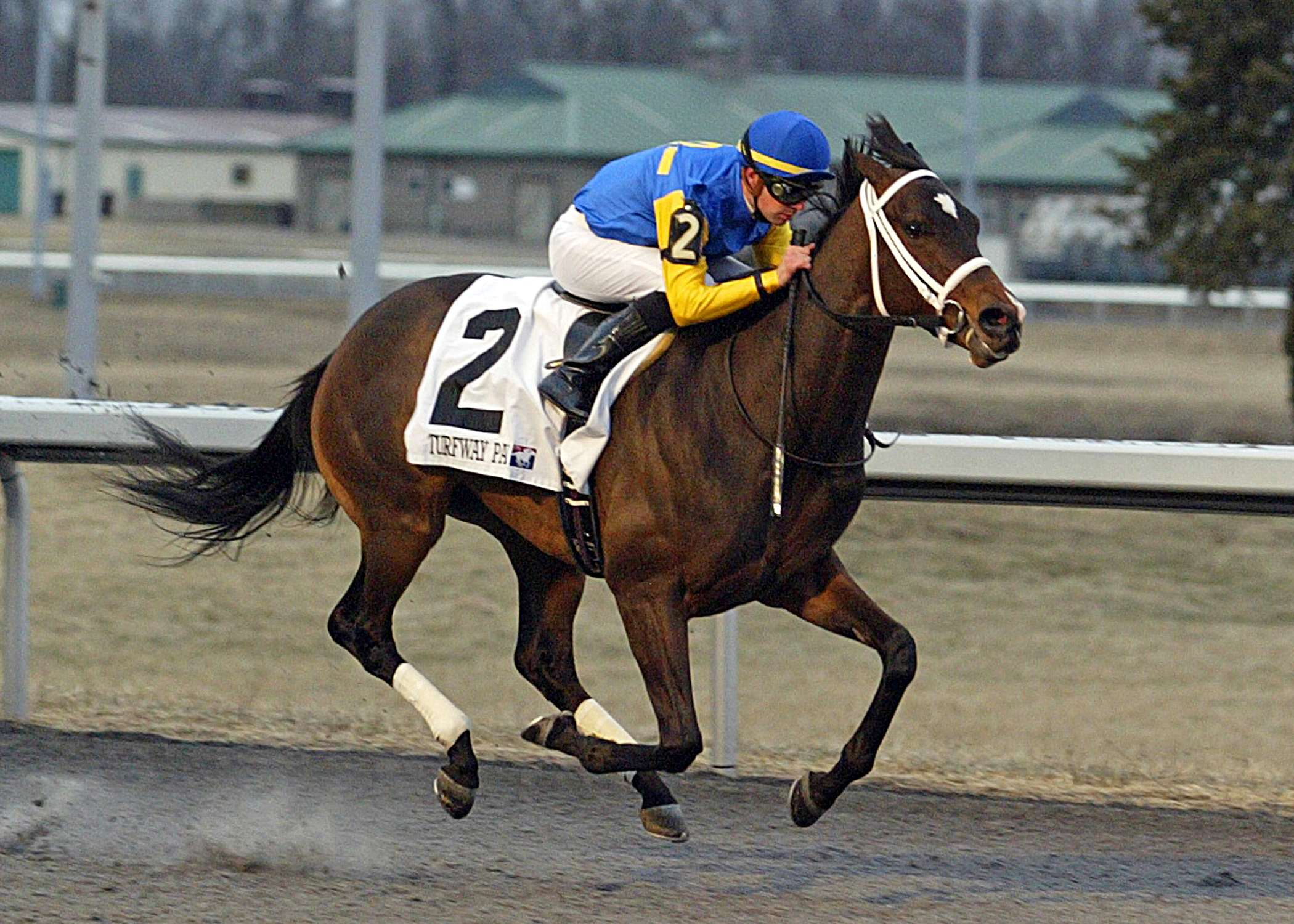 Solitary Ranger wins the John Battaglia Memorial