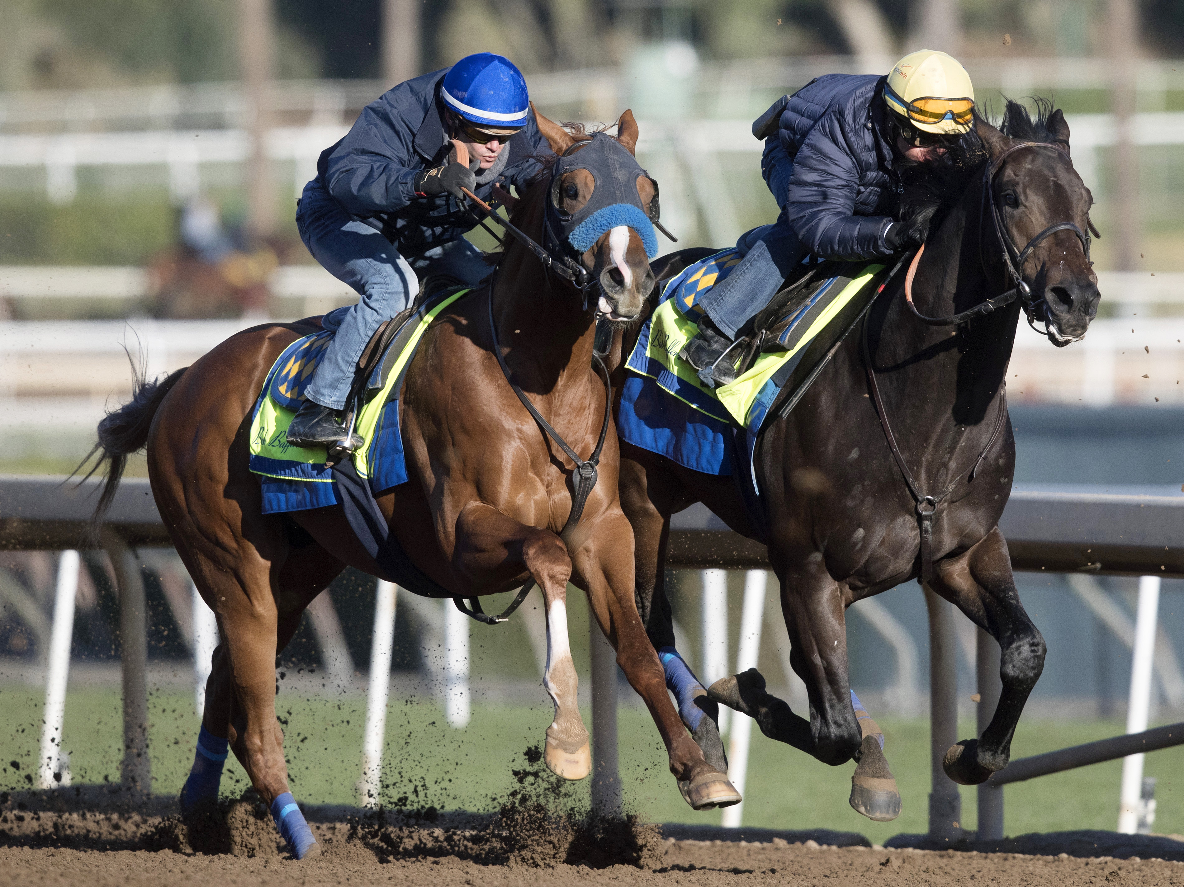 Solomini trains with Restoring Hope at Santa Anita on Feb. 24