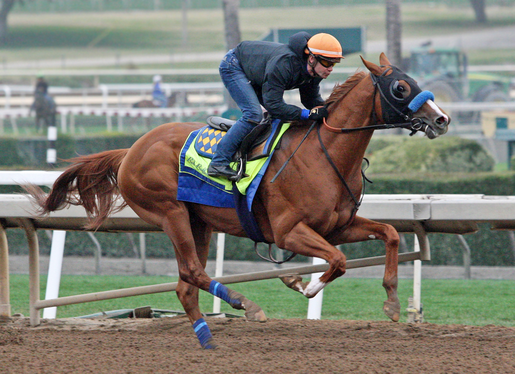 Solomini trains at Santa Anita on March 10