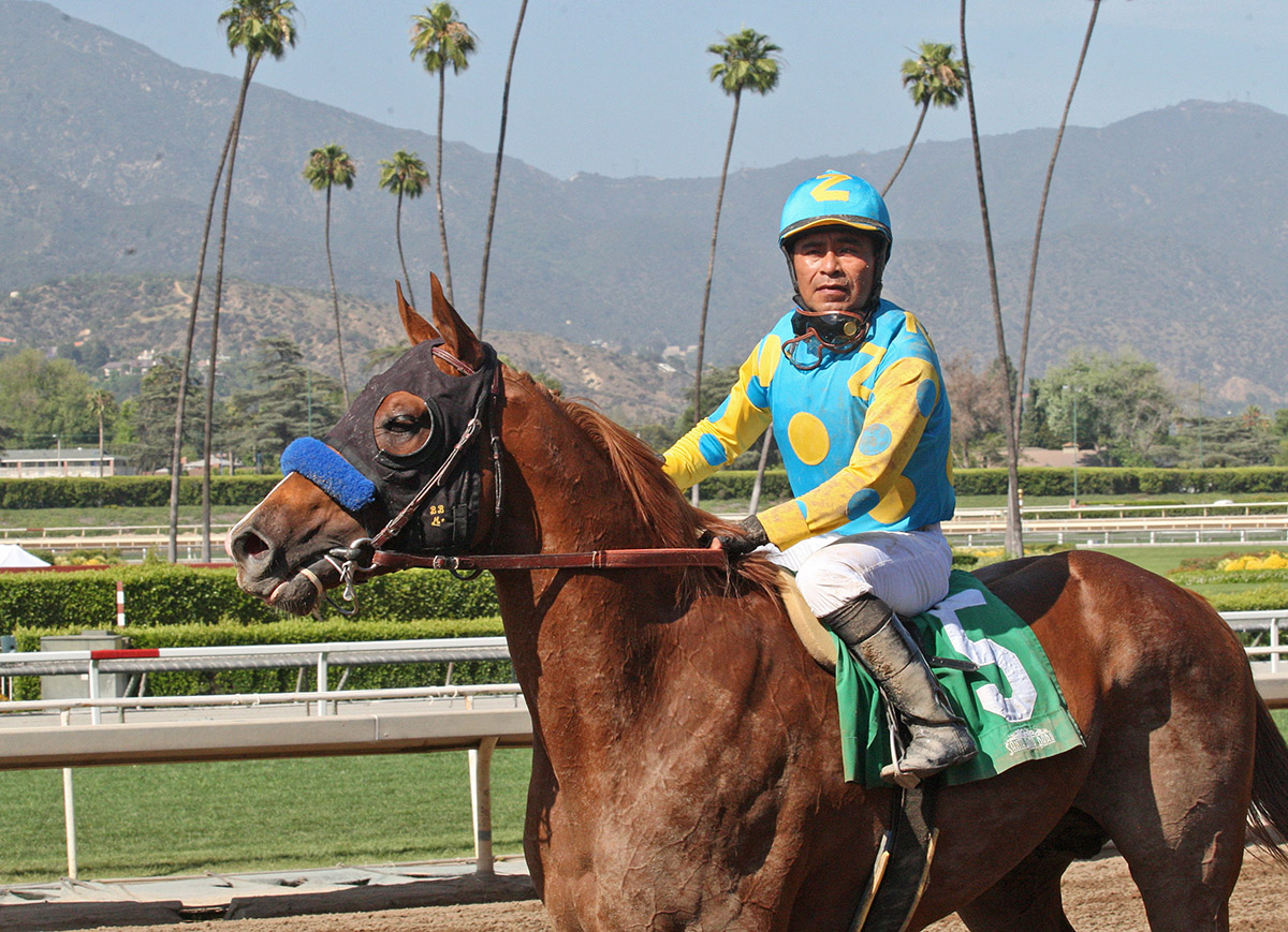 Solomini at Santa Anita on June 10