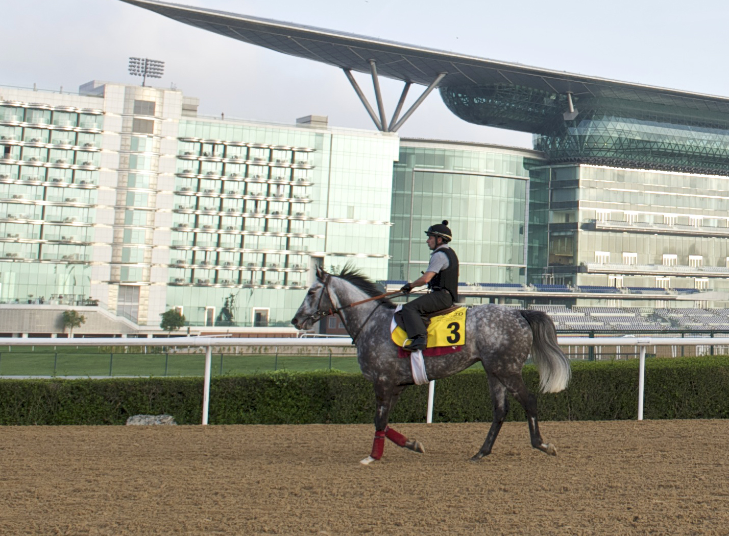 Head high on Solow ahead of Dubai Turf