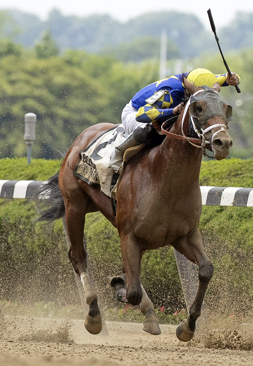 Sombeyay finishes second in the Tremont Stakes