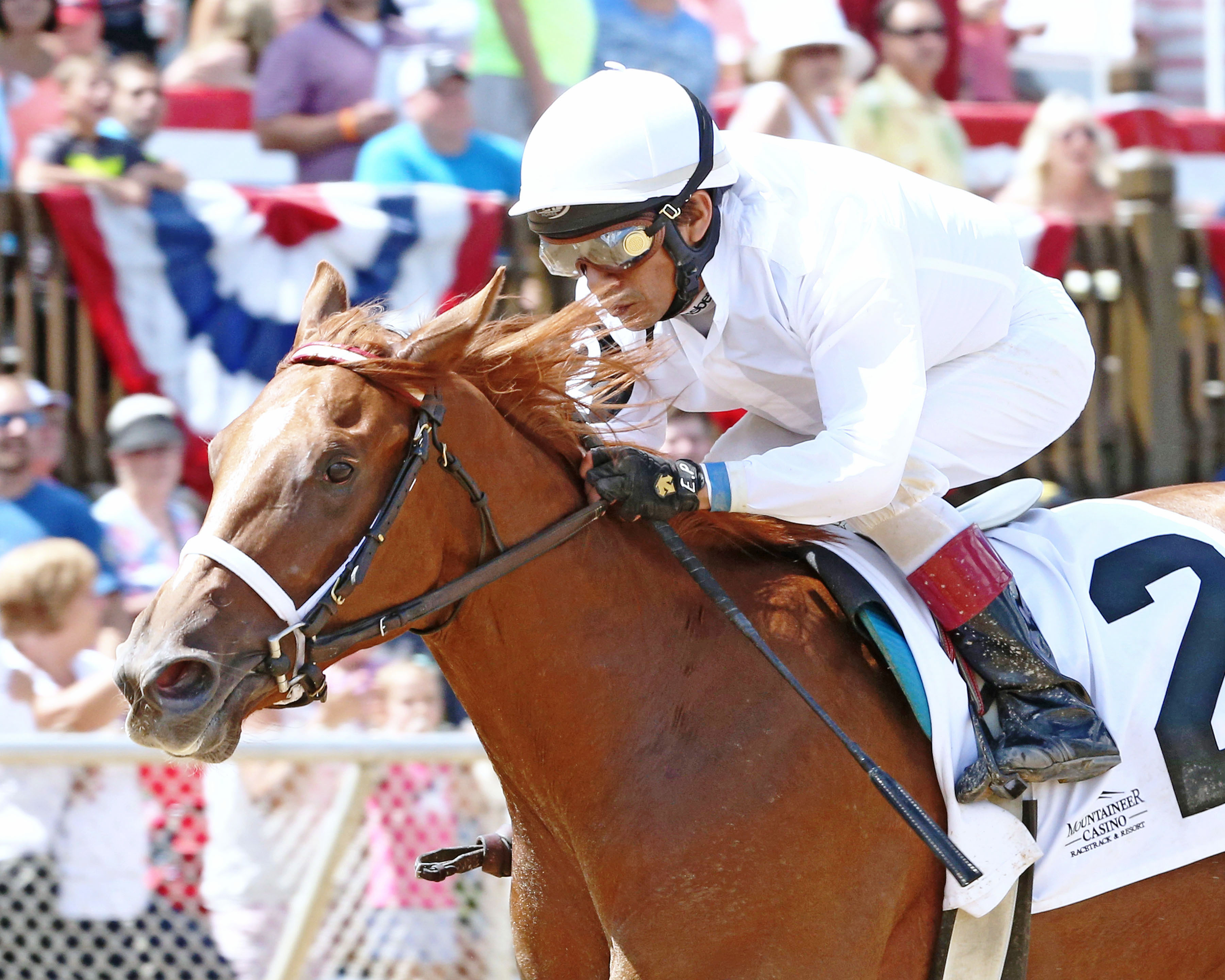 Sombree winsd the Mountaineer Juvenile Fillies Stakes