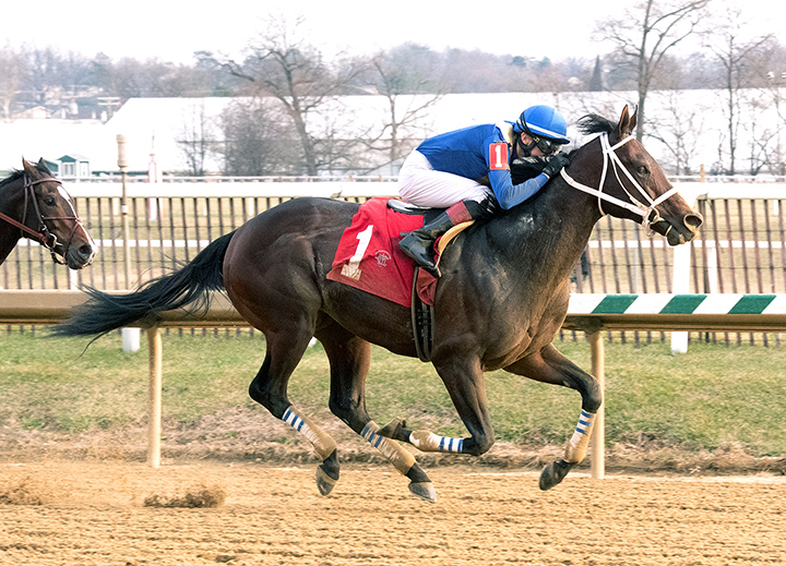 Someday Jones wins the 2019 Native Dancer Stakes at Laurel Park