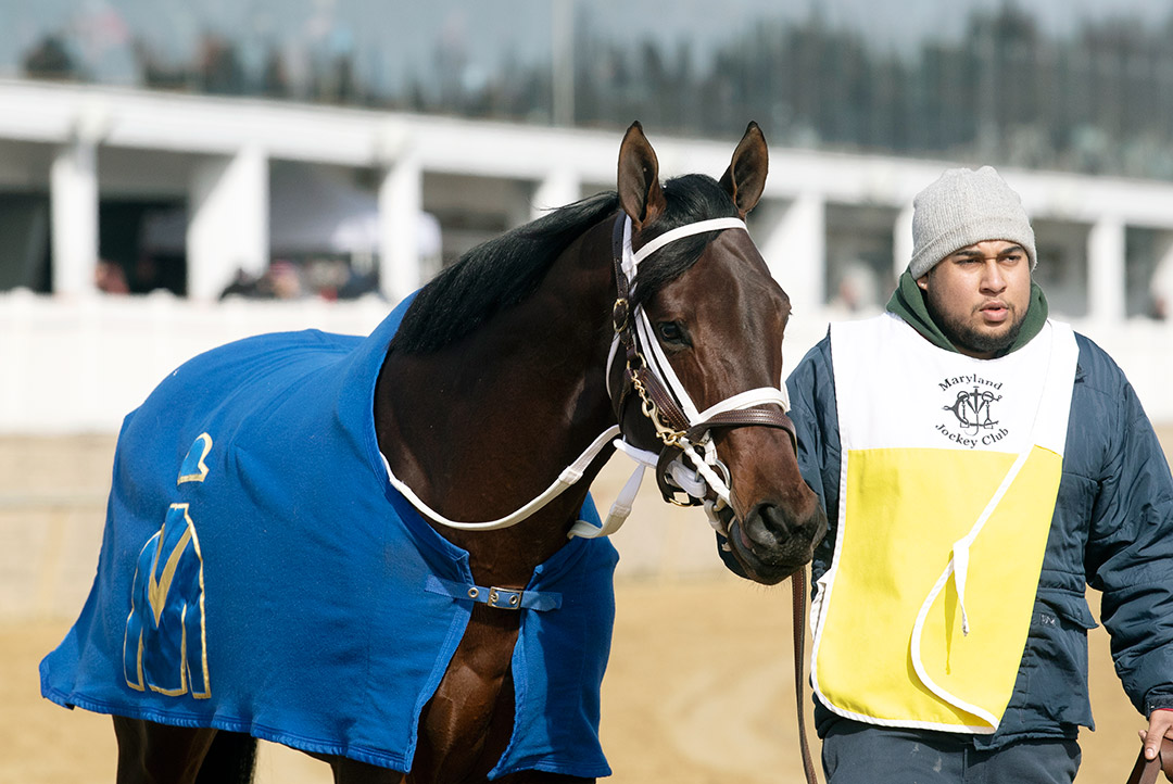 Someday Jones at Laurel Park in February 2020