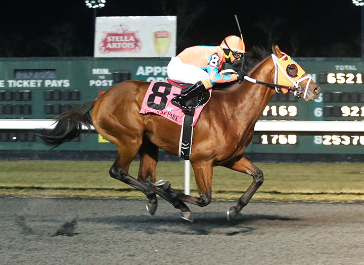 Somelikeithotbrown wins the 2019 John Battaglia Memorial