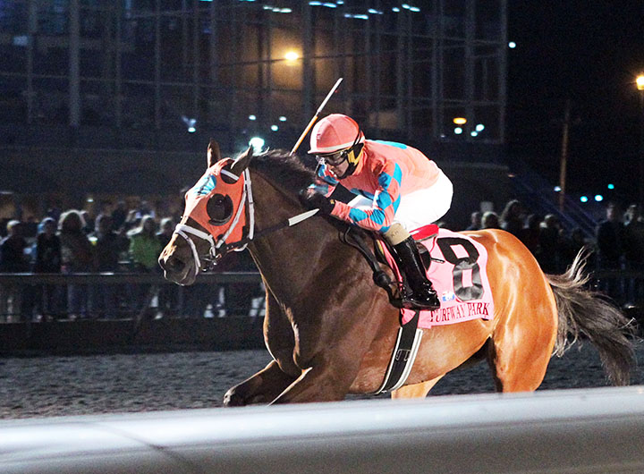 Somelikeithotbrown wins the 2019 John Battaglia Memorial