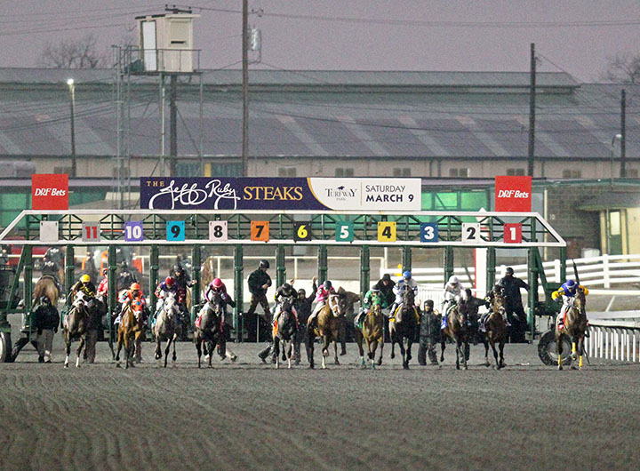 Turfway Park race start