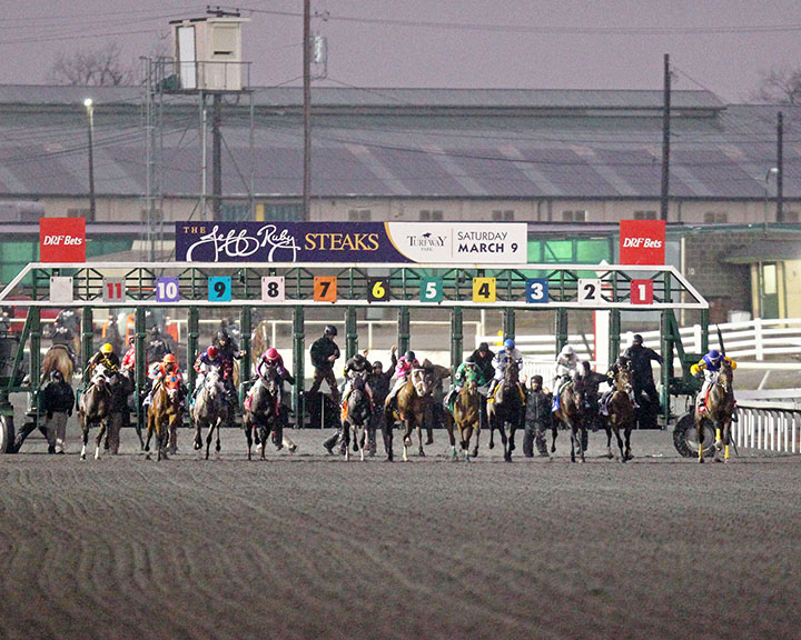 Turfway Park race start