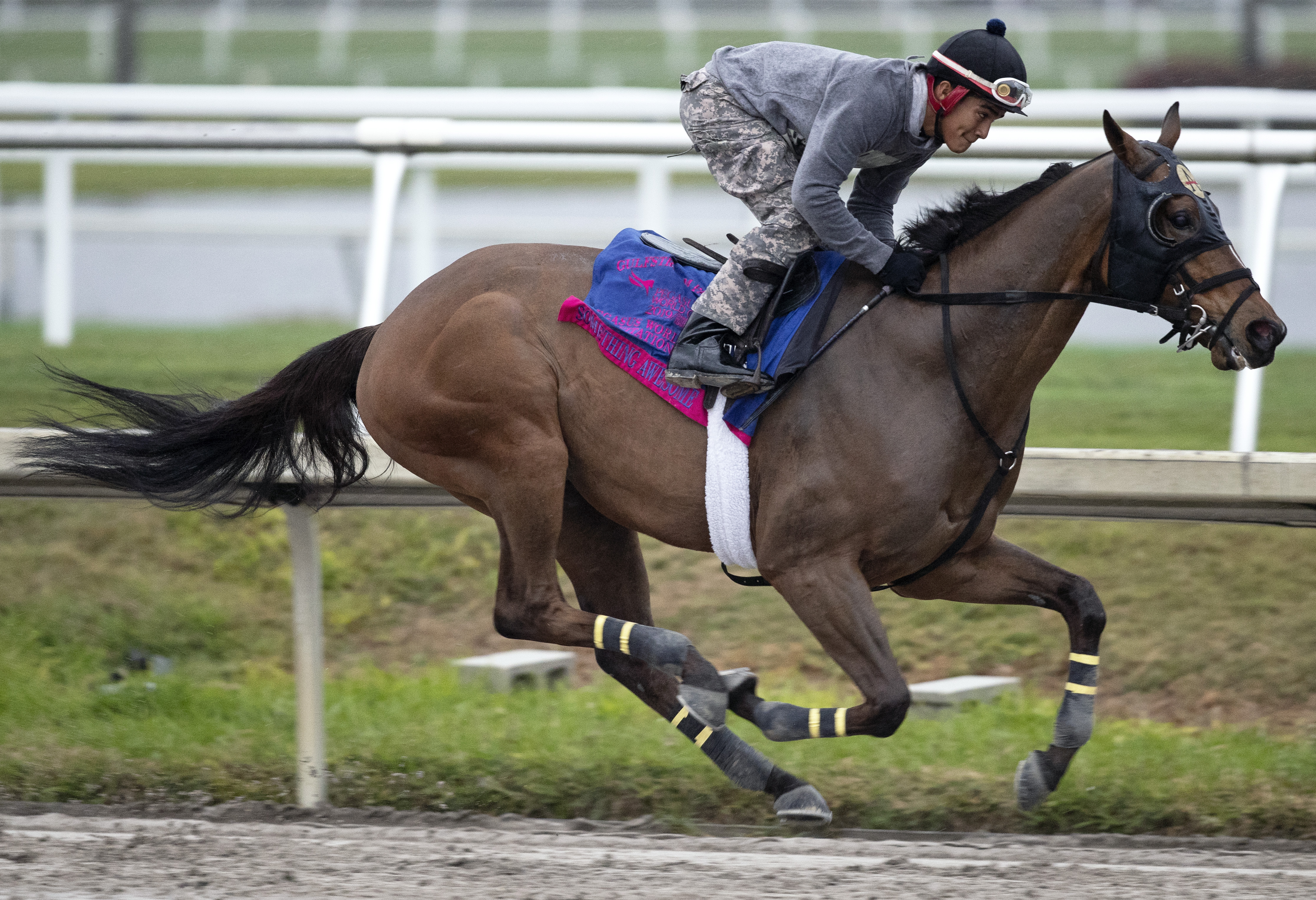 Something Awesome works for Pegasus