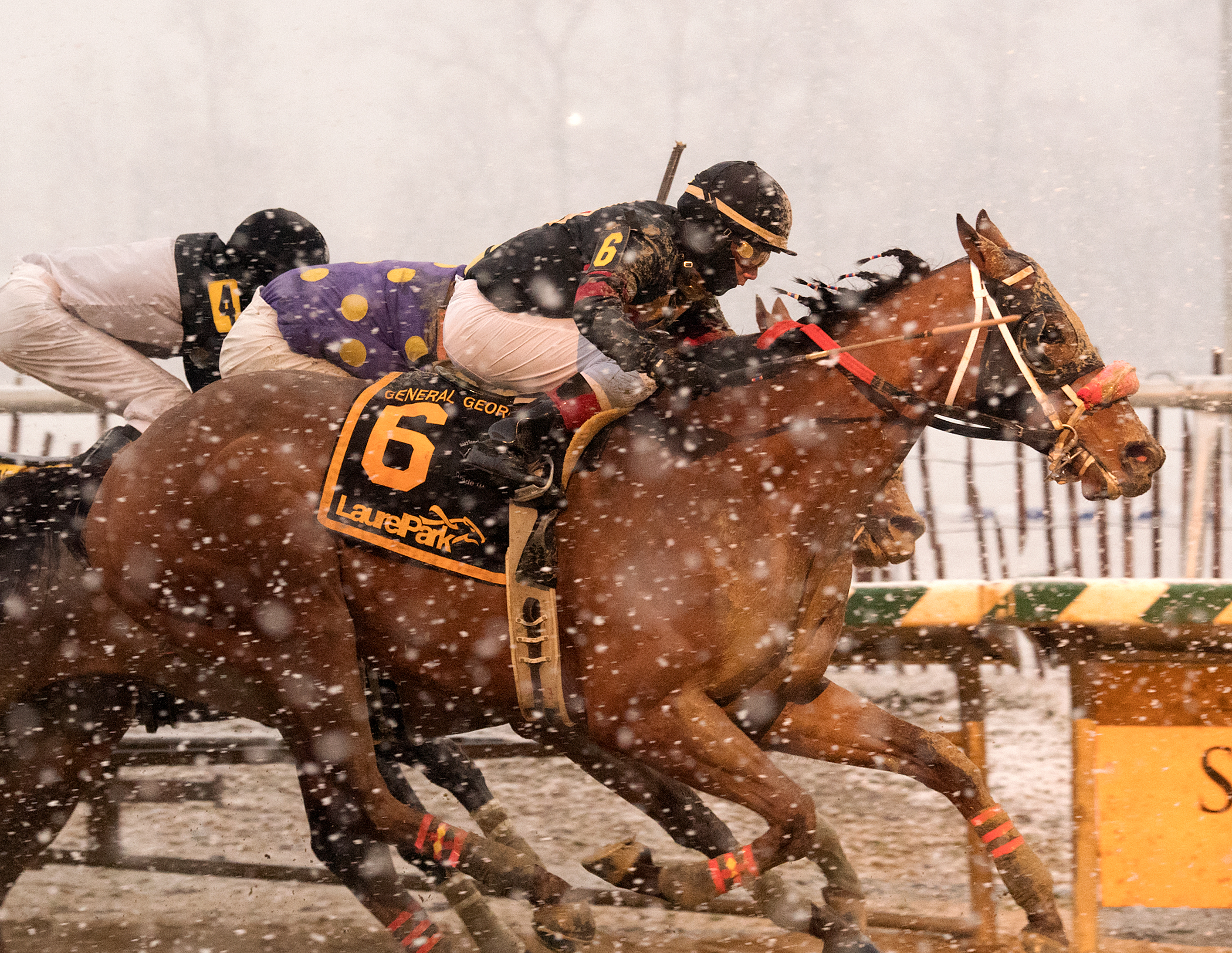 Something Awesome wins 2018 General George