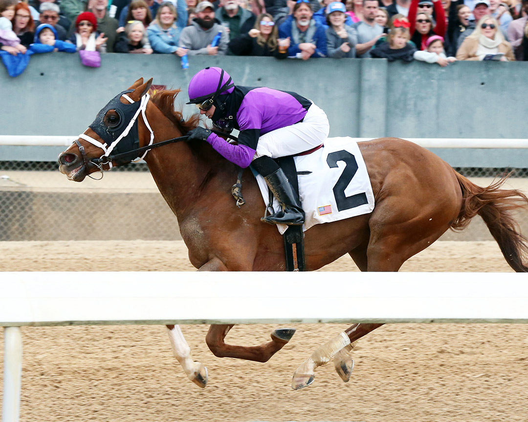 Something Natural wins a Feb. 15 allowance at Oaklawn Park