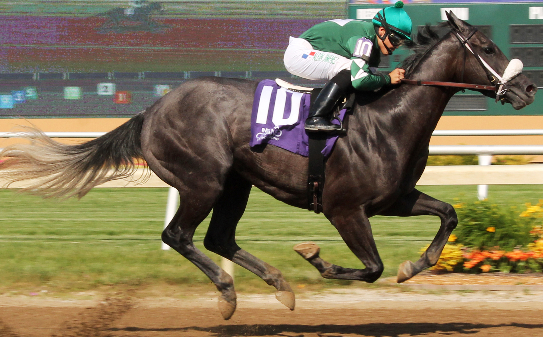 Son of a Nut wins the Sagamore Sired Stakes