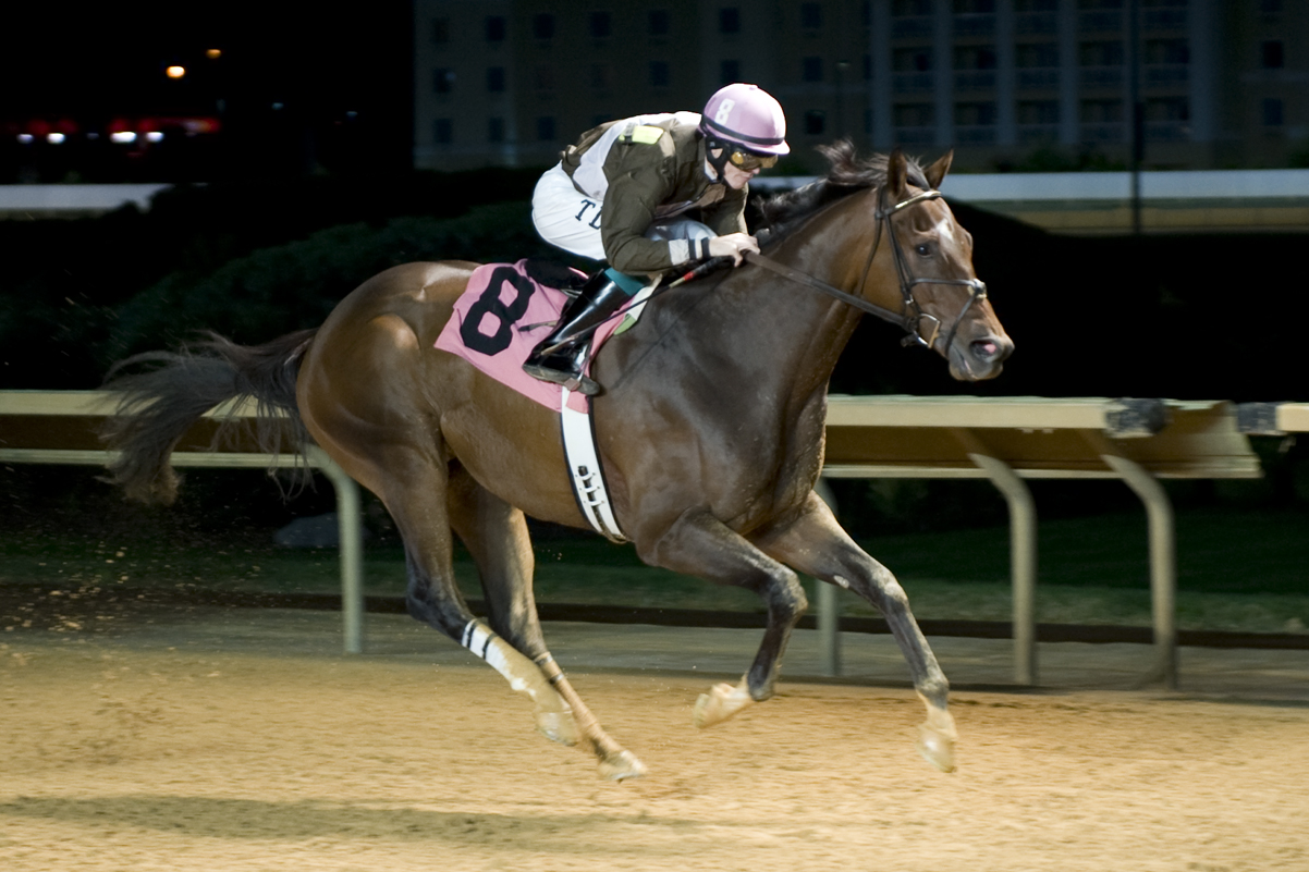 Song Warrior 10-14-2011