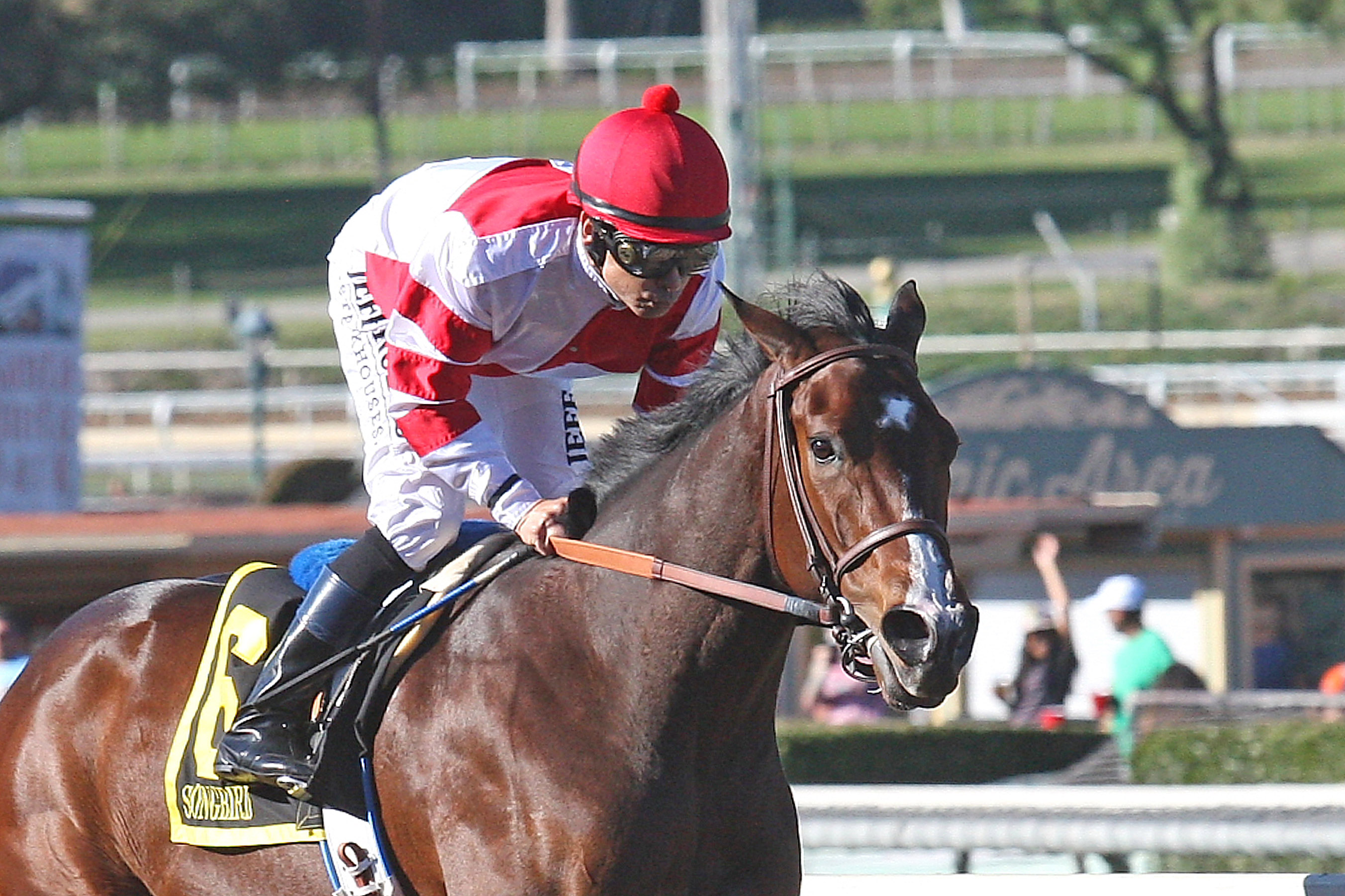 Songbird 2-6-16