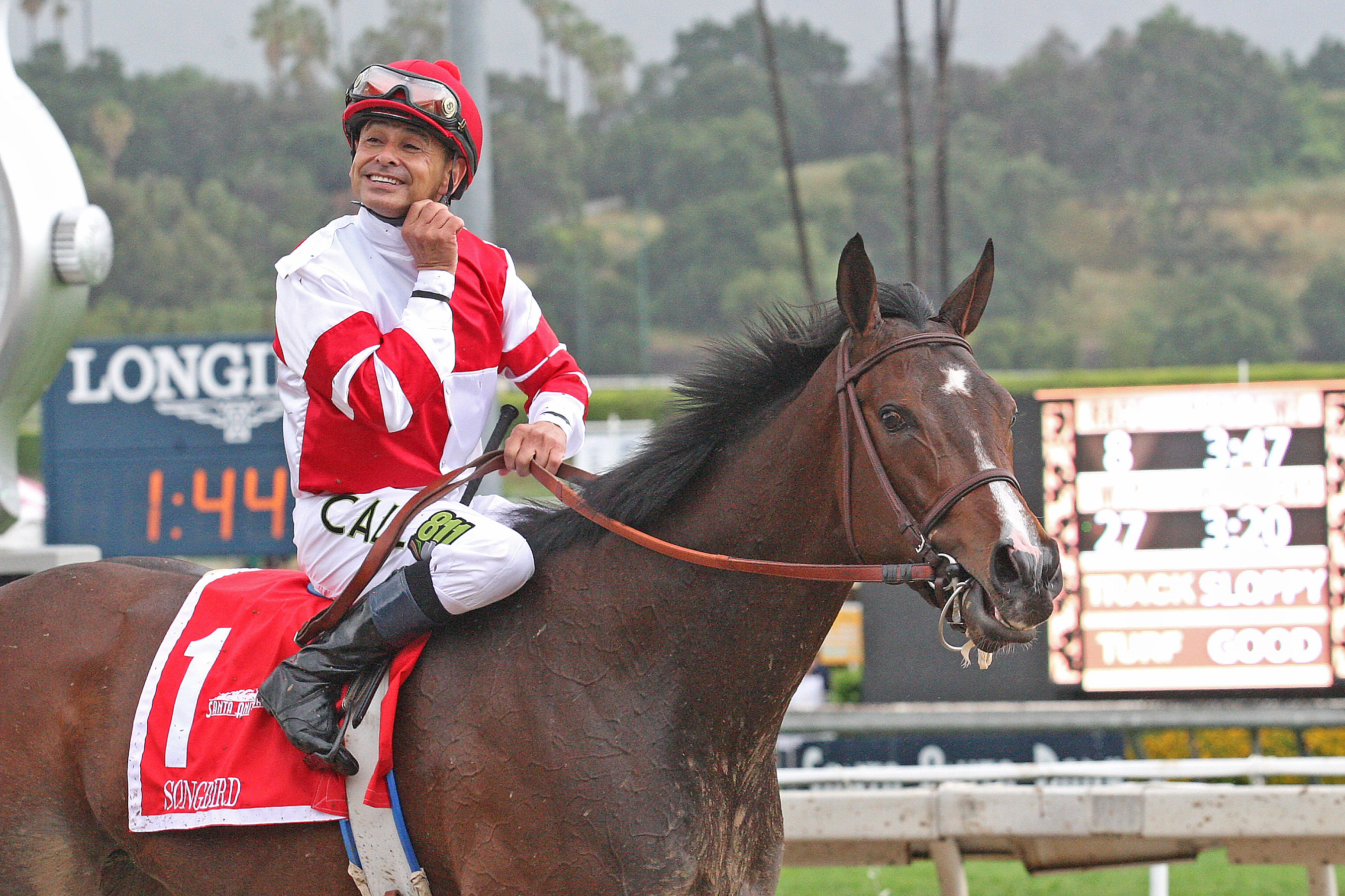 Songbird 4-9-16