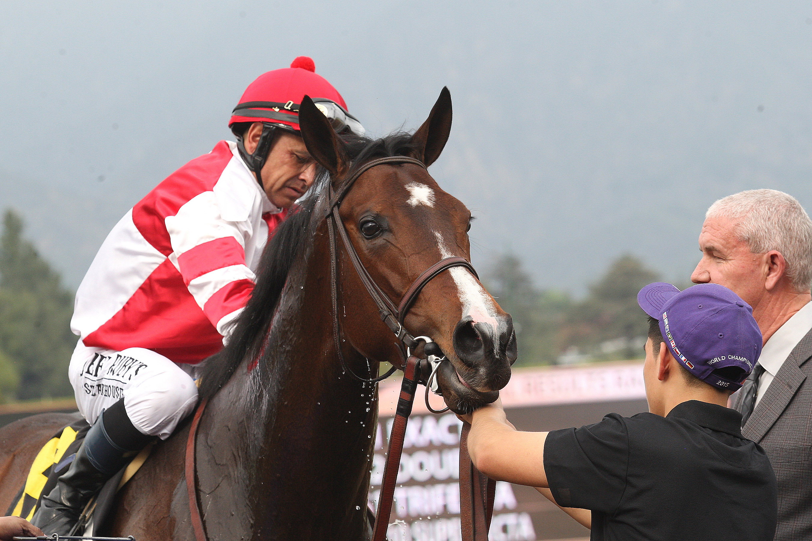 Songbird 3-5-16